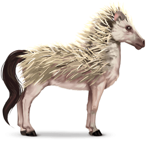 wildpferd igel