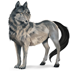 wildpferd wolf
