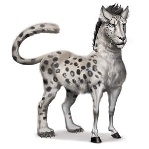 wildpferd schneepanther